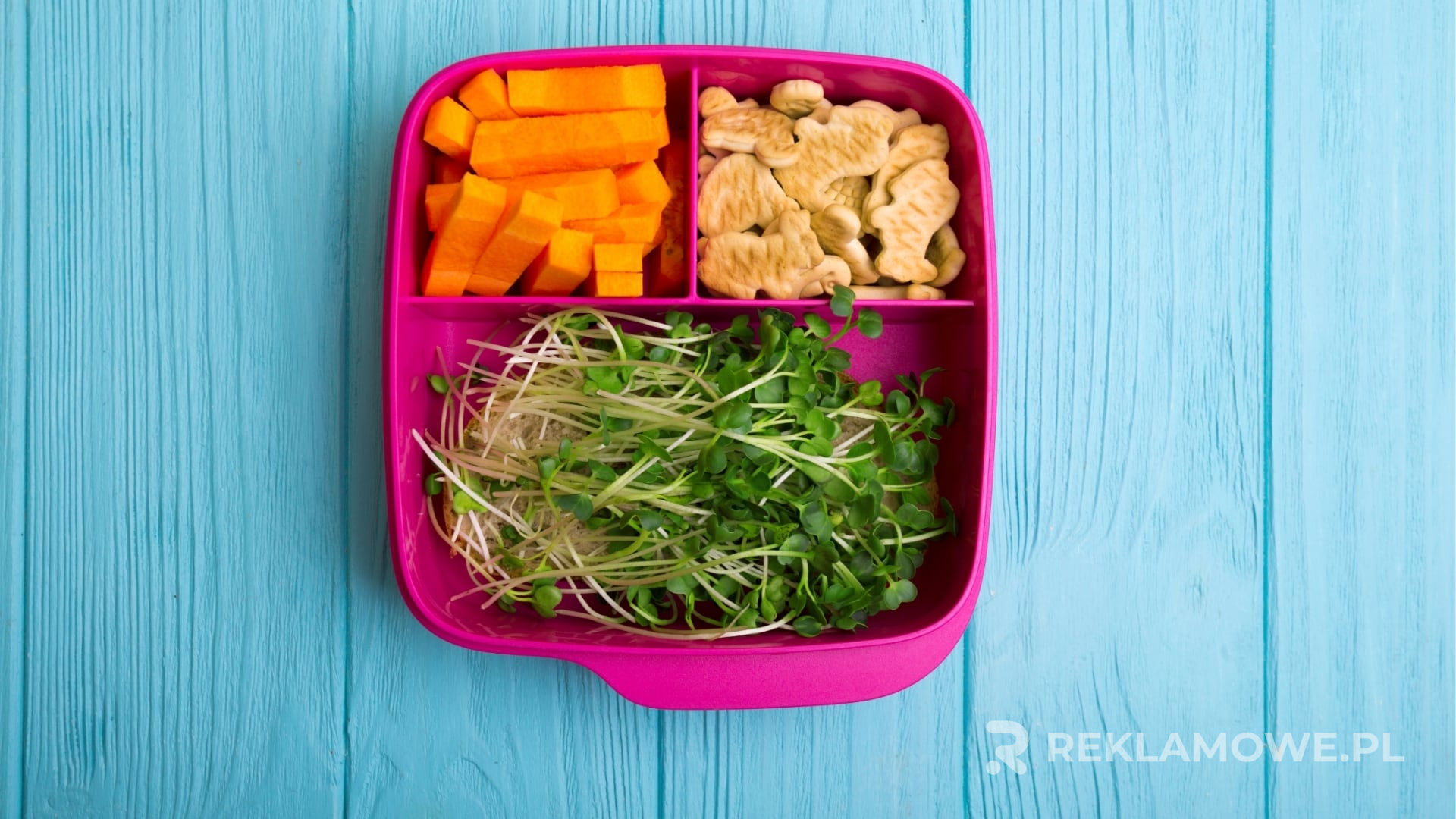 Planowanie kampanii marketingowej przy użyciu lunchboxów reklamowych